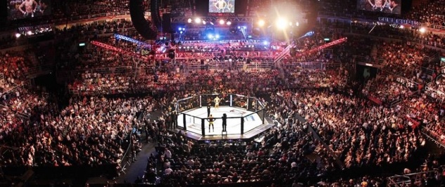 MMA a bojové sporty