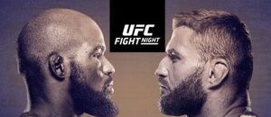 UFC Fight Night 167: Anderson vs. Blachowicz 2