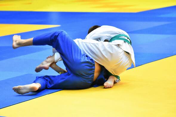 Judo je velmi populární sport v České republice, hlavně díky Lukáši Krpálkovi