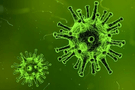 Ovlivní koronavirus MMA?
