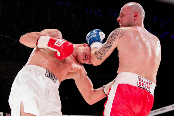 boxerský duel - Zdroj Petr Toman, Shutterstock.com