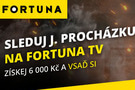 Jiří Procházka v zápase o titul UFC živě na Fortuna TV
