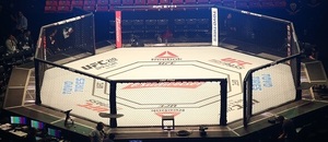 UFC Fight Night před zápasem - Zdroj Cassiano Correia, Shutterstock.com
