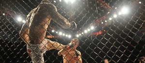 MMA souboj - Zdroj  A.RICARDO, Shutterstock.com